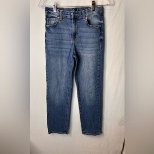 Jordache Classic Blue Straight Jeans Adjustable Waist Girls Size 14